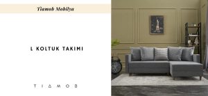 L koltuk takımı